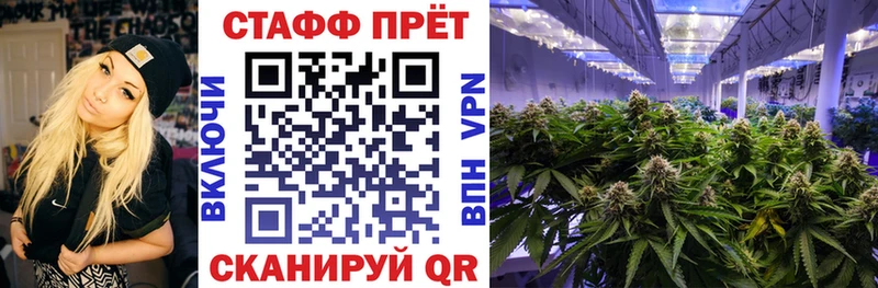 Цена Азов Бошки Шишки  мега вход  АМФ  ГАШ  Альфа ПВП  МЕФ  Псилоцибиновые грибы 