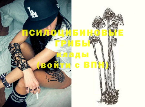 синтетический гашиш Нефтекумск